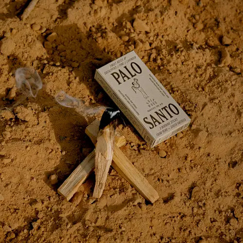 Palo Santo – Heiliges Holz aus Peru
