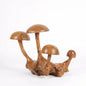 4er Wurzelholz Skulptur Pilz